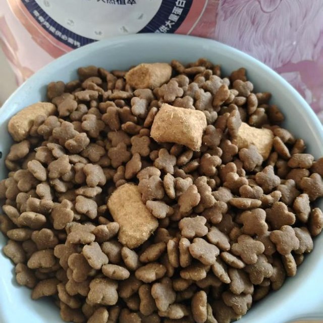 狗子玻璃胃、吸收差？这款粮用数据说话：吃进去的营养，肠道全接住
