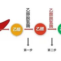 睡醒≠酒醒！交警和营养师终于说清楚了：隔夜酒驾到底多久才安全
