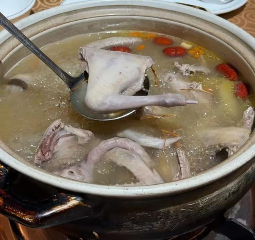 别只知道红烧!解锁中山乳鸽宴的N种神仙吃法才算没白来