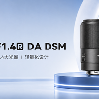 永诺多规格卡口YN33mm F1.4R DA DSM—佳能RF-S机身的日常标头