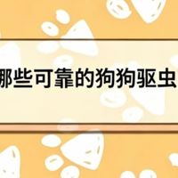 2026有哪些可靠的狗狗驱虫药推荐？