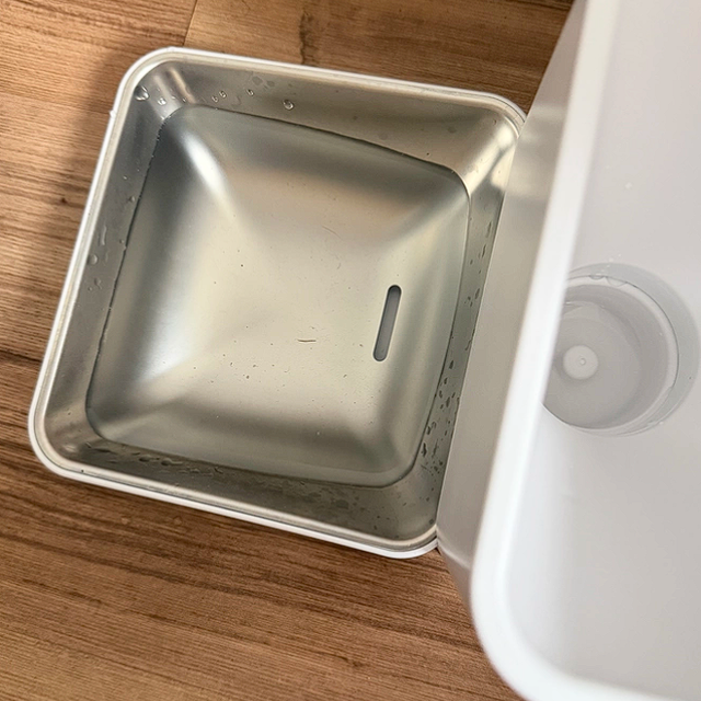 自动喂食器解决猫咪饮食难题