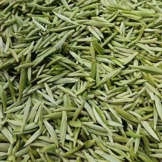 绿茶和黄茶差一步，胃不舒服的人终于有救了