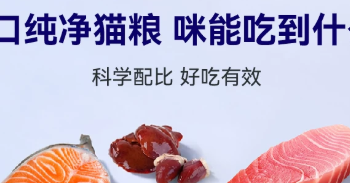 告别软便掉毛｜猫博士全价无谷鲜肉猫粮！高蛋白鱼油美毛