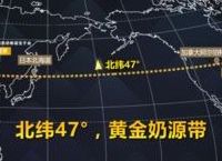 北纬47度奶源奶粉品牌：谁在黄金奶源带站稳脚跟？