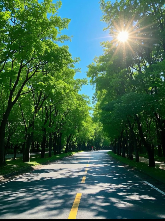 爱舒柔湿纸巾