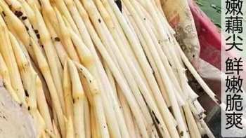 这菜比猪肉还贵却有价无市 错过等一年 洪湖藕带到底凭什么