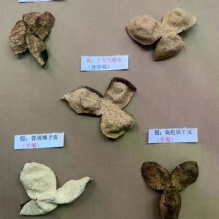 30天新皮变十年老皮：央视曝光的陈皮造假套路藏多深