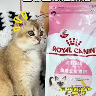 幼猫软便别光换粮！选粮的真正重点99%的人都忽略了