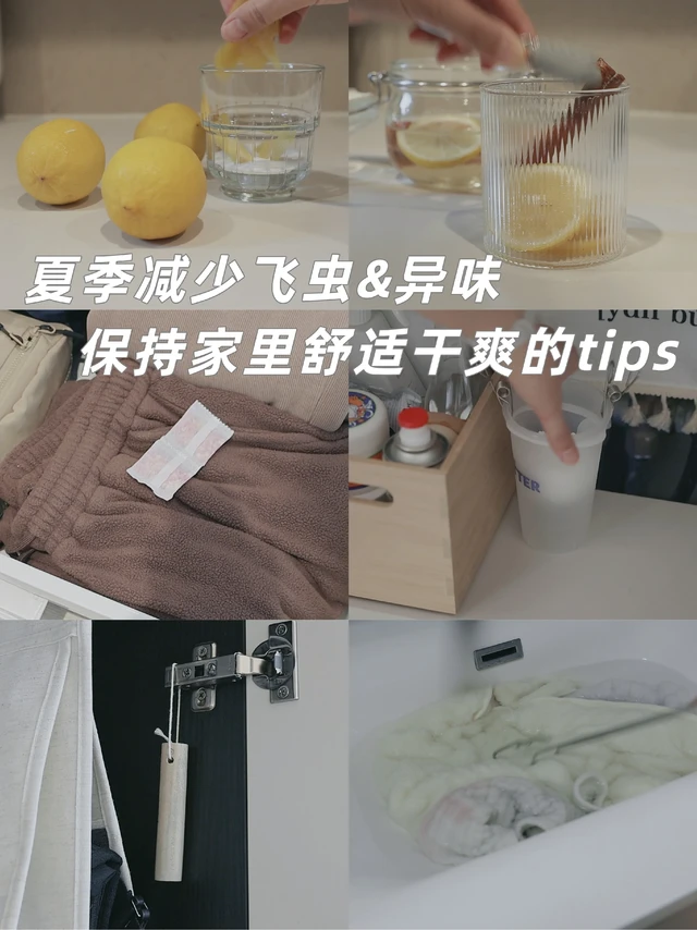 夏季减少异味飞虫 |  保持舒适干爽的tips