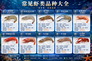市场上最容易买到的虾类科普外形防止被忽悠