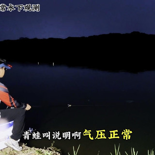 夏季白天钓鱼总空军？老钓友说出三个原因，夜钓才是真正的主场