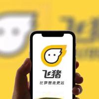 飞猪AI旅行助手评测:省心还是闹心?实测揭露这类人用最划算