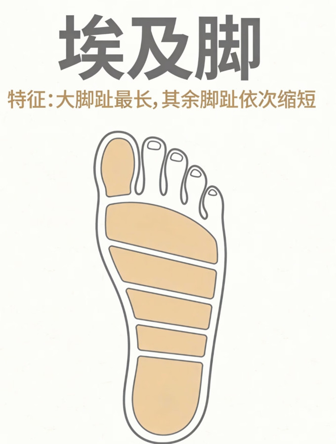 篮球鞋
