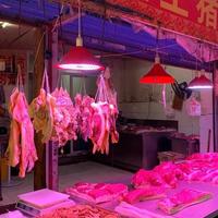早市赶鲜vs苍蝇馆子追香：反向旅游觅食到底值不值