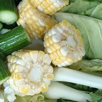 有机食材怎么选？实测对比普通生鲜平台终于看懂自然力的核心优势