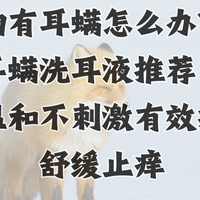 宠物有耳螨怎么办？小狗耳螨洗耳液推荐！配方温和有效抑菌止痒