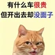 有什么车很贵但开出去却没面子🌚