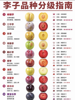 10种李子分级测评｜第一名贵有贵的道理？