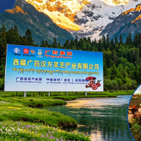 灵芝孢子油多少钱一瓶？广药牌20年正品积淀，价格亲民品质高