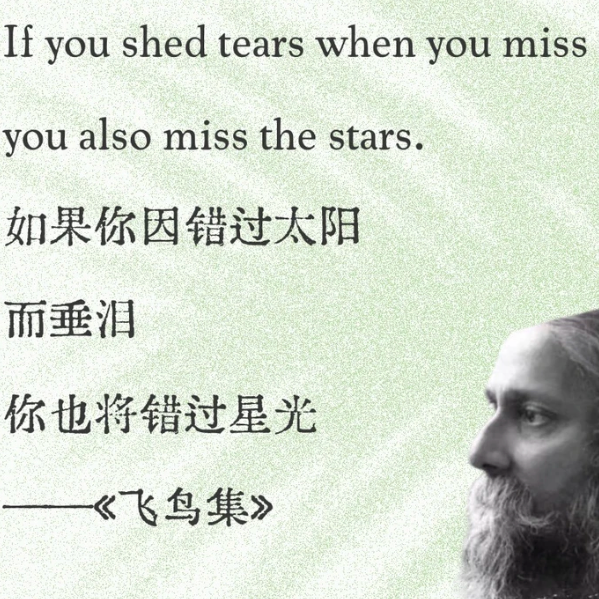 十年书迷帮大家避雷译本，好好的书突然坏掉了