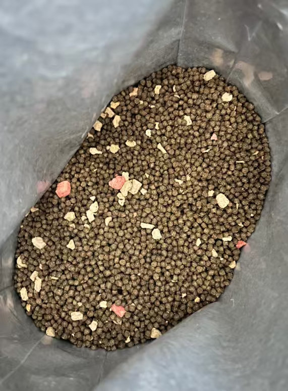 冻干丰富猫粮解决挑食问题