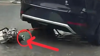 全网狂欢比亚迪