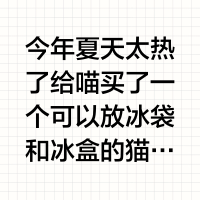 喵喵也有猫咪空调空调房 夏天嘎嘎凉快