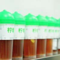 深耕茶饮赛道：好喝的柠檬茶加盟成本全解析，助你精准开店