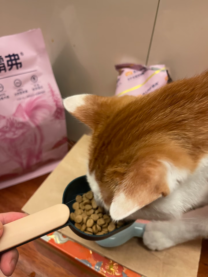 霸弗猫粮