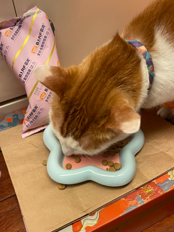 霸弗猫粮