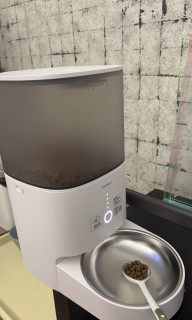 霍曼自动喂食机自用感受分享
