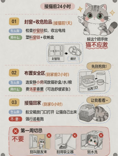 养猫踩坑血泪总结！新手必买vs智商税，硬生生省下2000冤枉钱