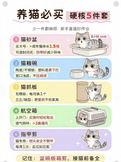 养猫踩坑血泪总结！新手必买vs智商税，硬生生省下2000冤枉钱