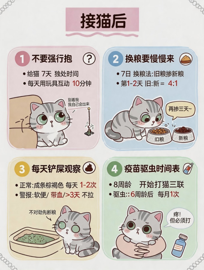伟嘉猫咪湿粮/罐头