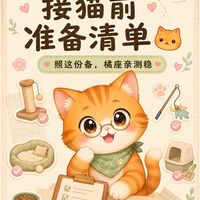 新手接猫保姆级指南|过来人血泪总结,准备到位少踩九成坑