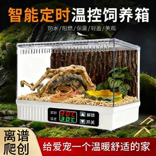 花高价买的PID温控是智商税还是真省心？3款爬宠箱硬核横评给你答案