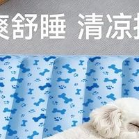 高温天宠物降温神器推荐