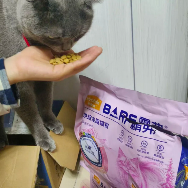 麦富迪BARF猫粮怎么选？烘焙版vs膨化版区别&选粮指南