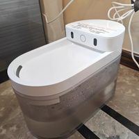 提升独居幸福感🏡 给毛孩子的满分饮水体验