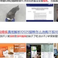 数千只瘫痪小猫,超六成吃过同一猫粮!猫粮应该怎么选呢?