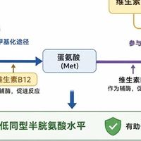 维生素 B 族哪个牌子适合长期吃？优质维生素Ｂ族品牌