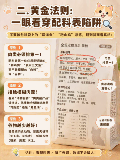 如何选购猫粮，铲屎官必看的全攻略