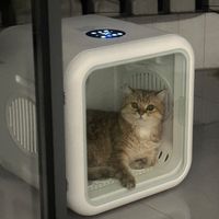 宠物烘干箱：解放双手的智能选择