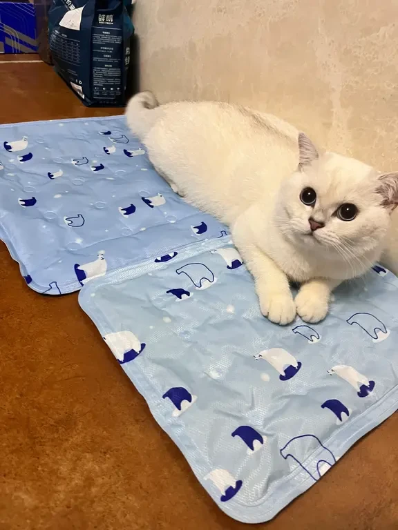 给小猫做了个空调小窝