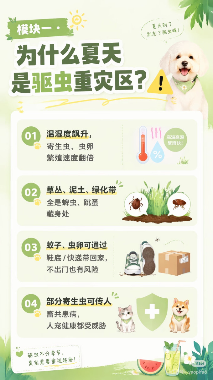 其他宠物日用