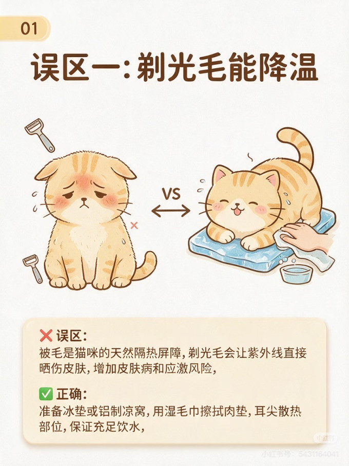 狗狗