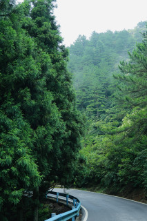 九宫山徒步避坑！别穿底薄的鞋