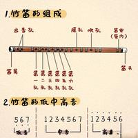 成人学民族乐器第一坑：九成人买琴时就输了