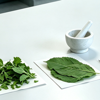 植物样品怎么研磨效果最好？植物样品前处理和研磨仪选型一次讲清